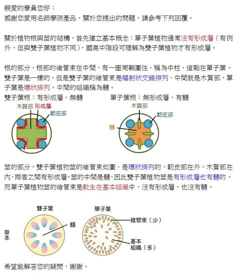 葉宜紅|葉宜紅